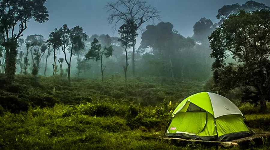 Camping In Coorg
